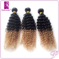 100 Virgin Ruby Indian Human Ombre Colored Weave Short Curly Hair