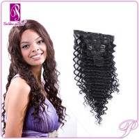 4 Bundles 30Inches Virgin Deep Curl Brazilian Wet And Wavy Human Clip In Hair Extensions