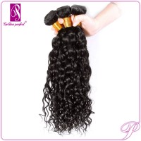 Ultimate Diva Tight Curl Virgin Remy Malaysian Human Tape On Hair